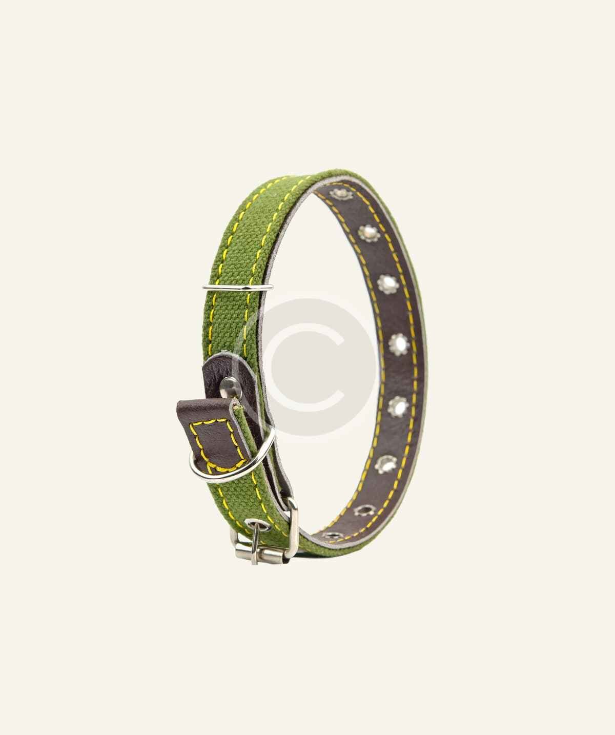 Green canvas dog collar