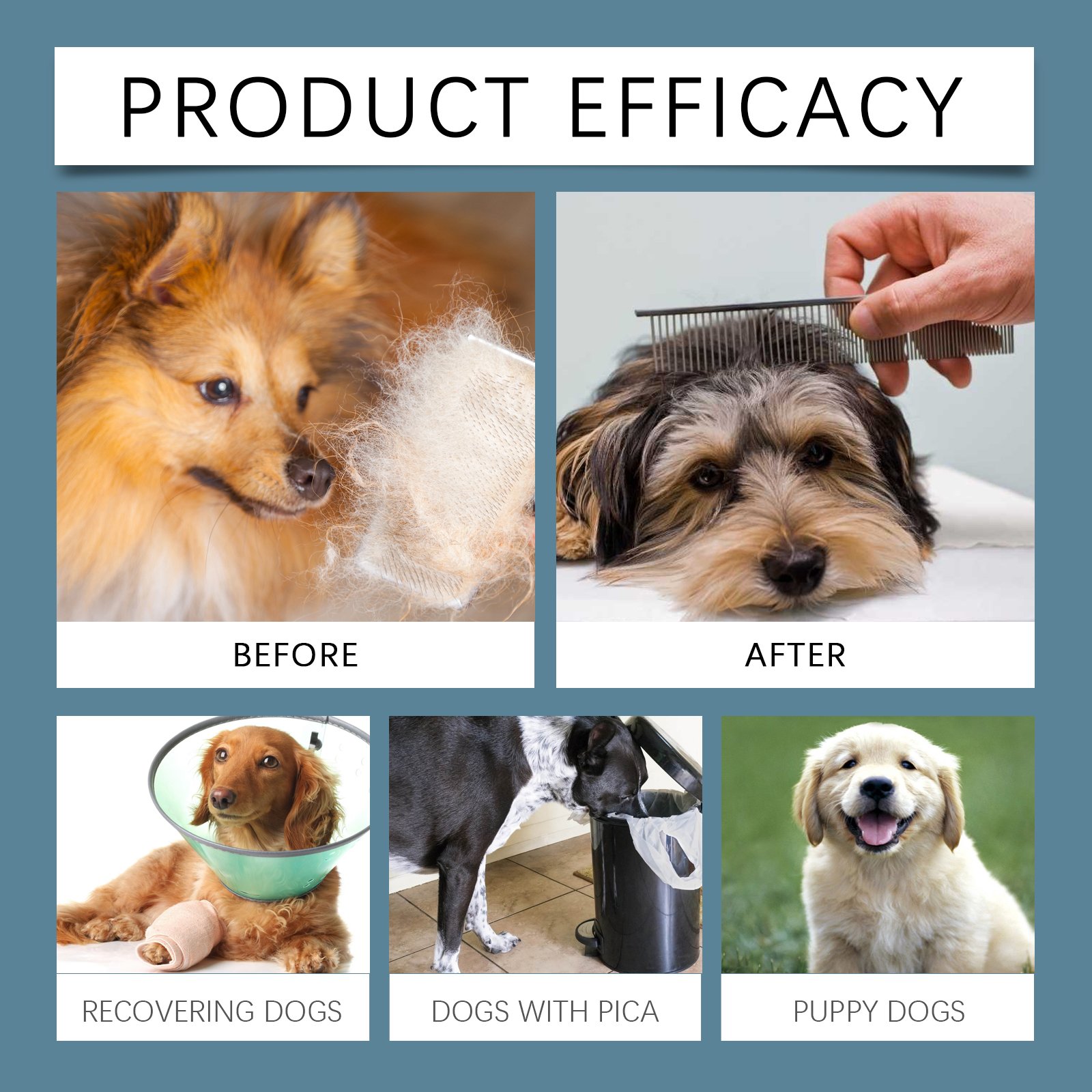 Yegbong Minerals For Dogs, Support Nerves And Promote Overall Health With Calcium And Magnesium Supplements - Image 4