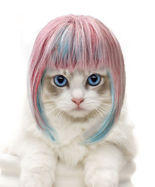 Pet cat long wig cat dog universal colorful long hair party outfit