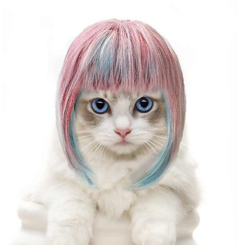 Pet cat long wig cat dog universal colorful long hair party outfit