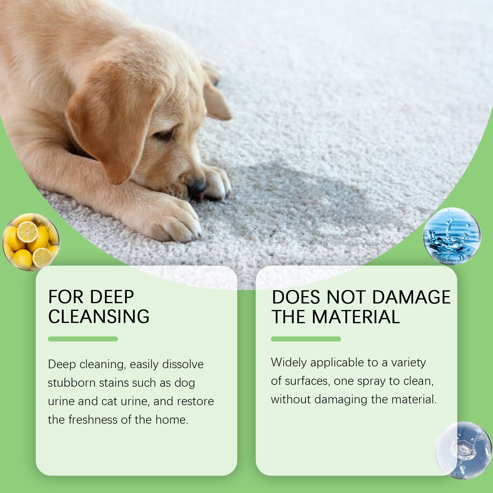 Yegbong Pet Stain Remover, Cat Dog Pet Stain Food Grease Pet Mucus Saliva Clean - Image 3