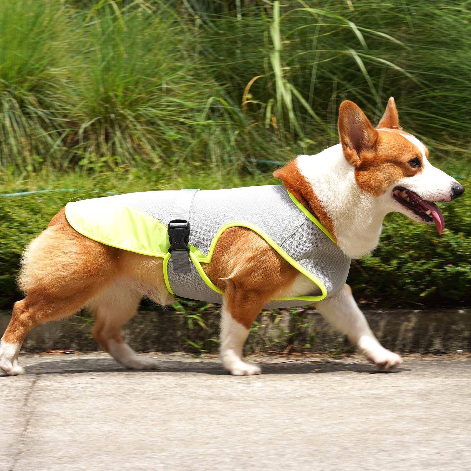 Pet Cooling Clothing Dog Clothing Pet Cooling Pet Supplies - Image 5