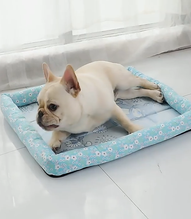 Summer Pet Cooler Pet Ice Mat Cat Kennel Dog Kennel Pet Mat Pet Bed Pet Mat Summer Ice Mat Summer