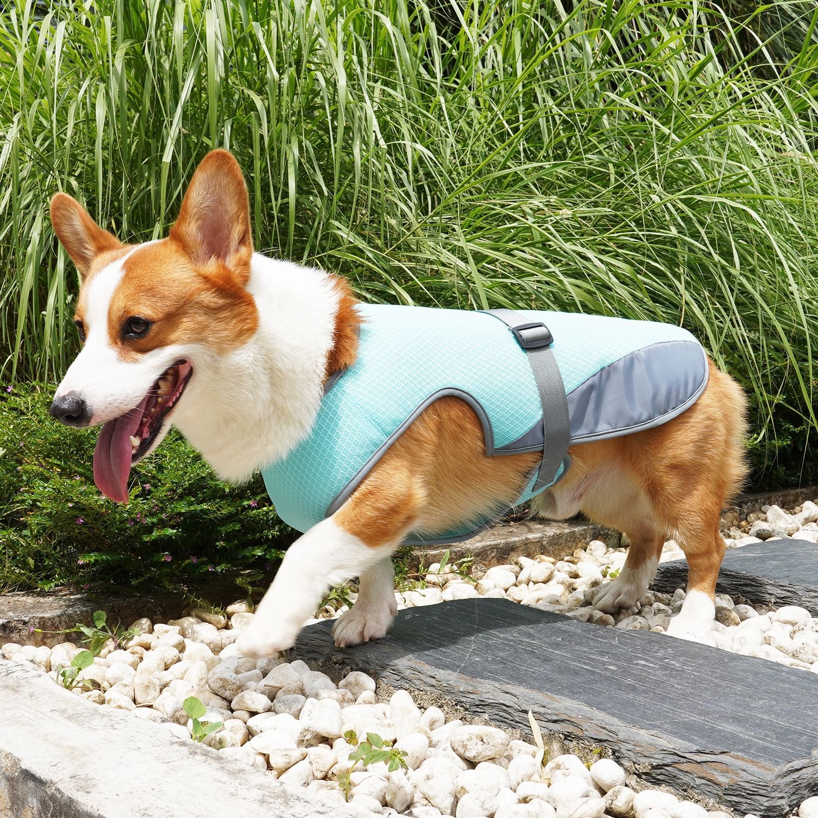 Pet Cooling Clothing Dog Clothing Pet Cooling Pet Supplies - Image 3