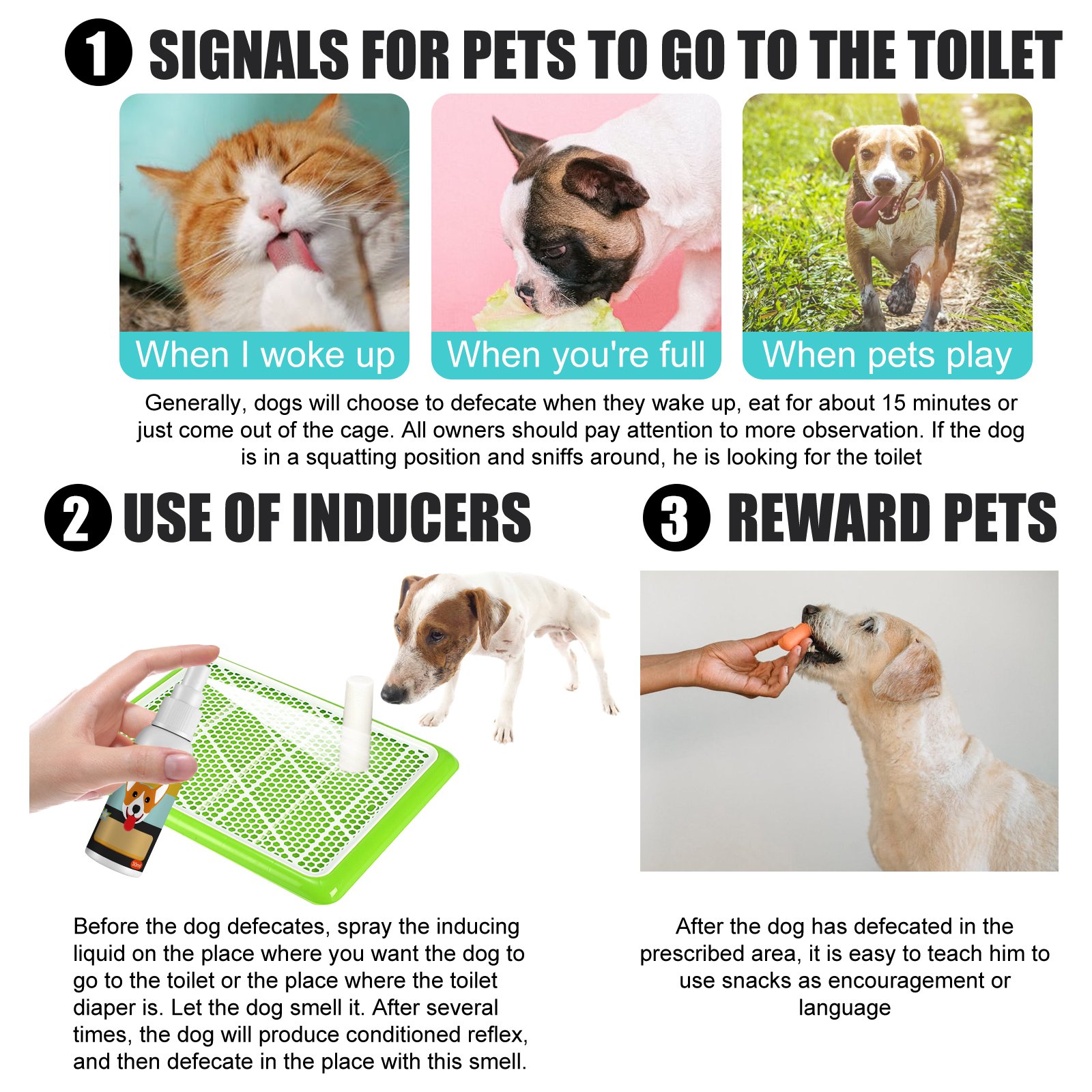 Pet Defecation Locator Spray, Pet Poop Location Pet Cats And Dogs Locate Defecation Inducers - Image 6