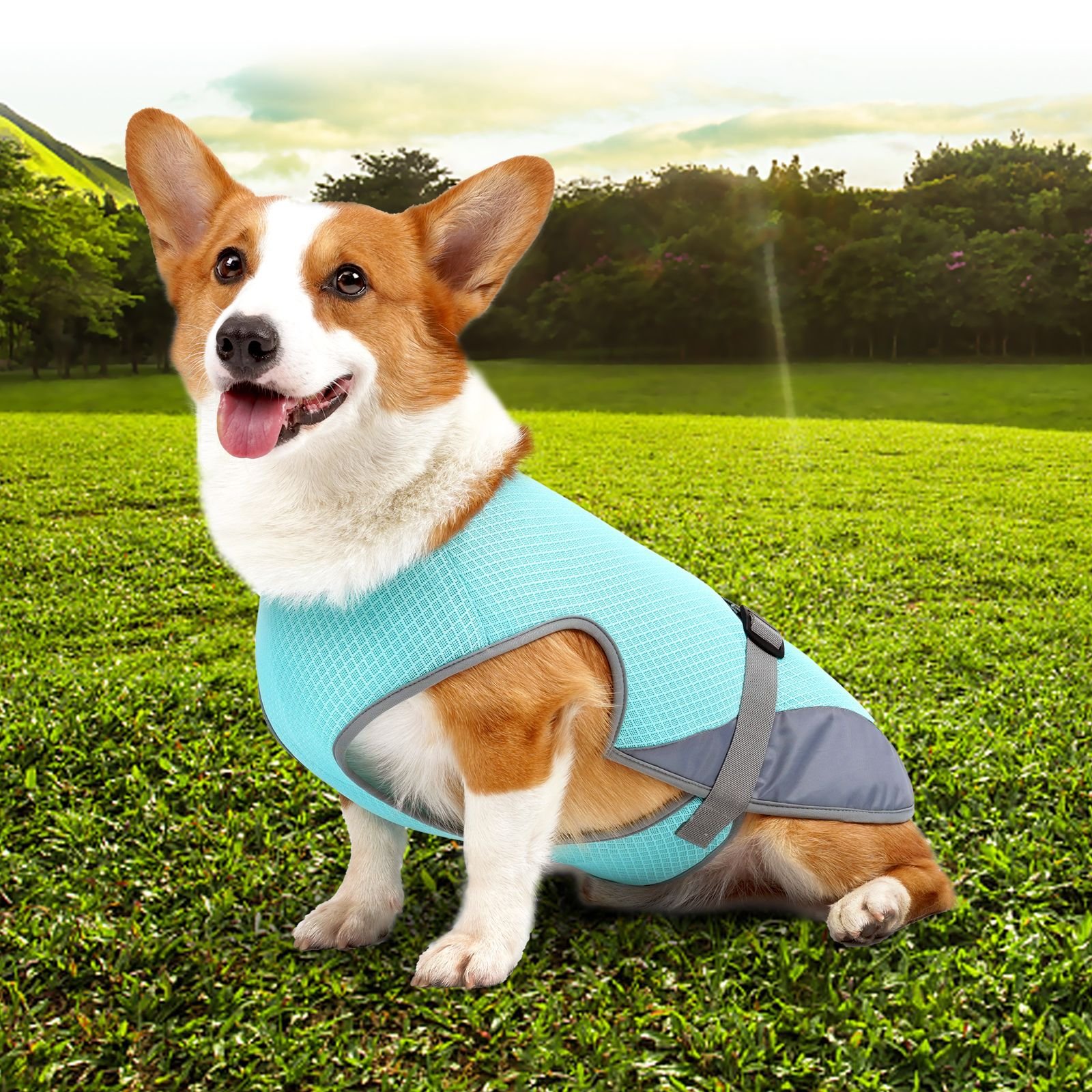 Pet Cooling Clothing Dog Clothing Pet Cooling Pet Supplies - Image 2