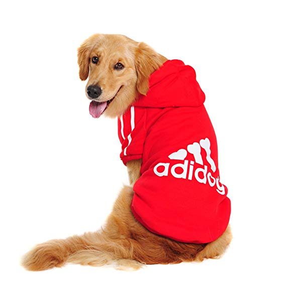 Pet Clothes For Big Dogs - Image 9