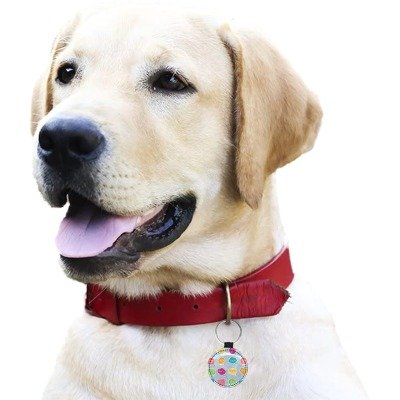 Round Pet ID Tag - Image 2