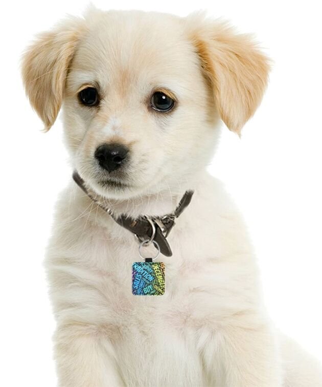Square Pet ID Tag
