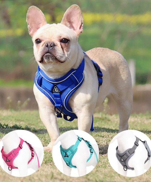 Pet Leash Reflective Breathable Dog Harness Vest-Style Pet Harness