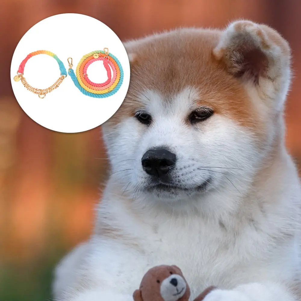 Pet Hauling Leash Dog Walking Leash Pet Training Strap Pet Traction Strap Pet Pulling Rope for Cat Outdoor Pet - Image 2