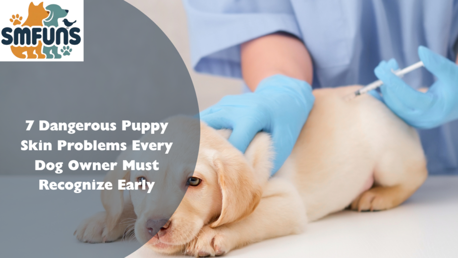 7 Dangerous Puppy Skin Problems