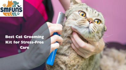 Best Cat Grooming Kit
