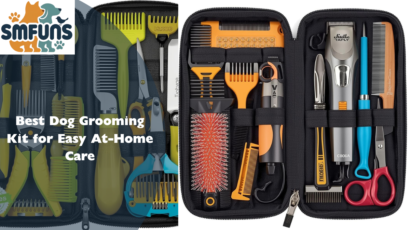 Best Dog Grooming Kit
