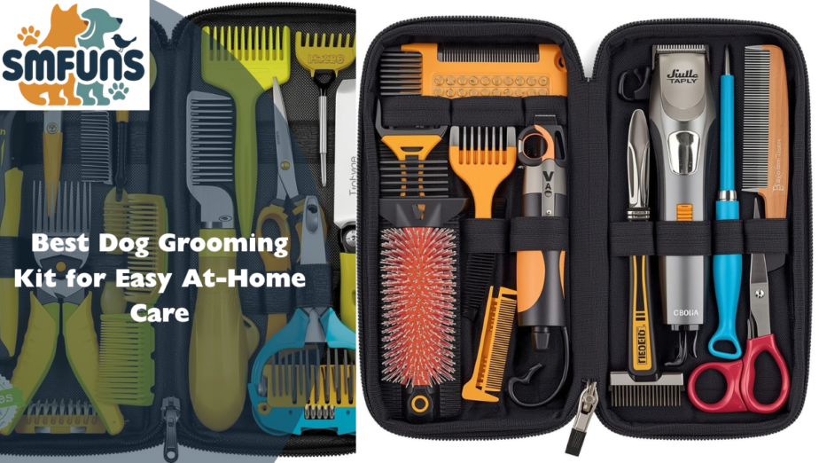 Best Dog Grooming Kit