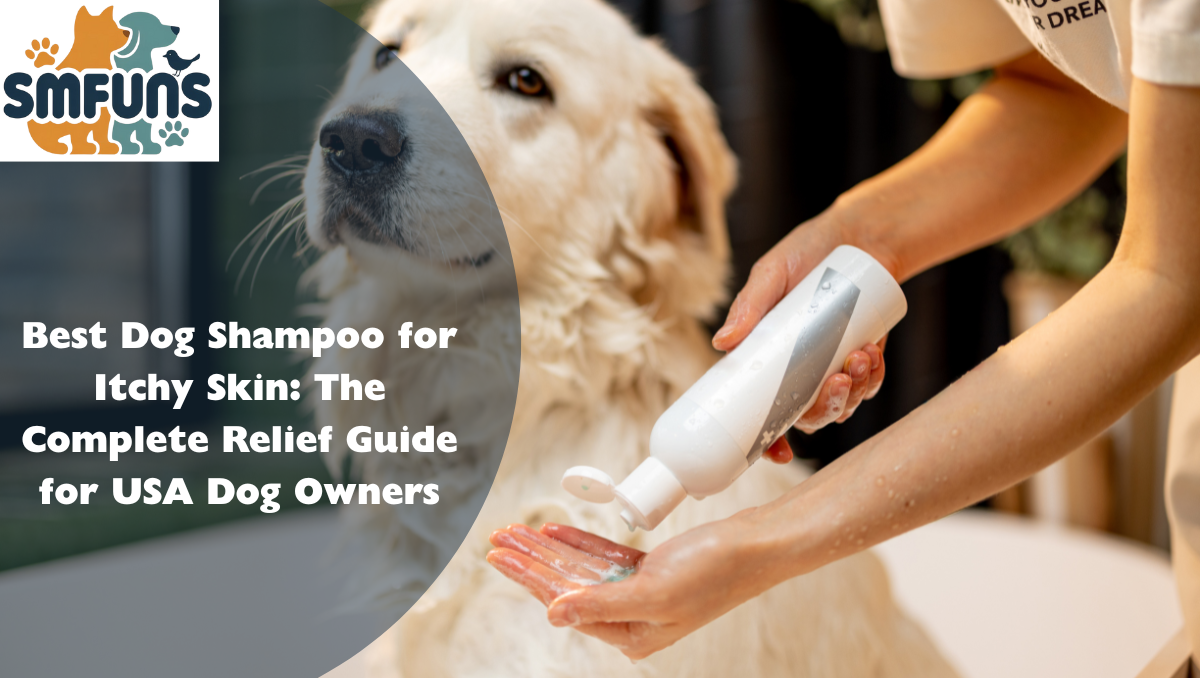 Best Dog Shampoo for Itchy Skin