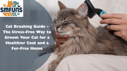 Cat Brushing Guide