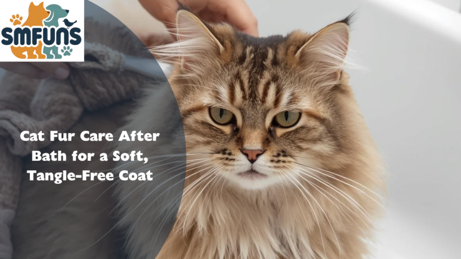 Cat Fur Care After Bath for a Soft