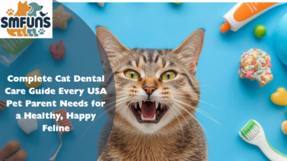 Cat Dental Care Guide