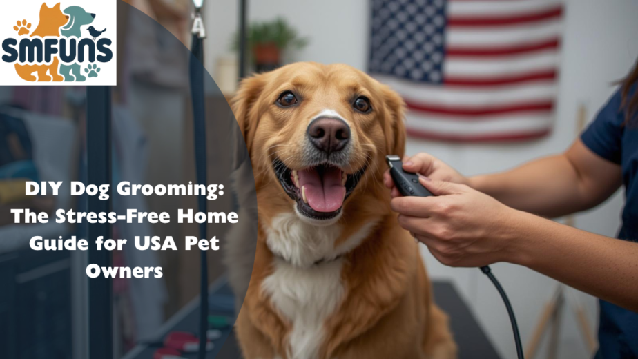 DIY Dog Grooming