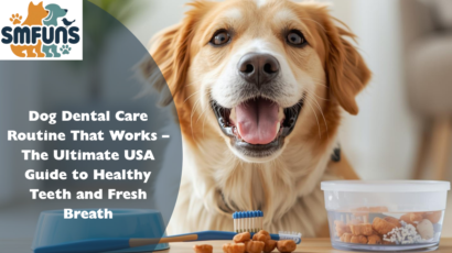 Dog Dental Care Routine