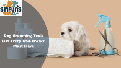 Dog Grooming Tools List