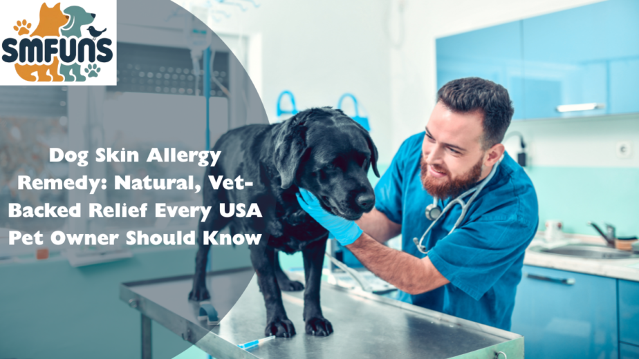 Dog Skin Allergy Remedy