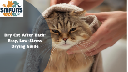 Dry Cat After Bath