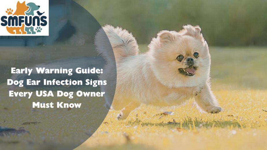 Dog Ear Infection Signs