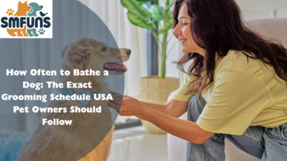 How Often to Bathe a Dog: