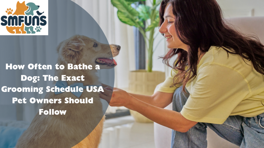 How Often to Bathe a Dog: