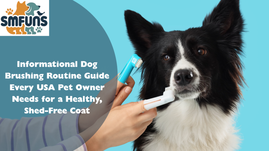 informational dog-brushing
