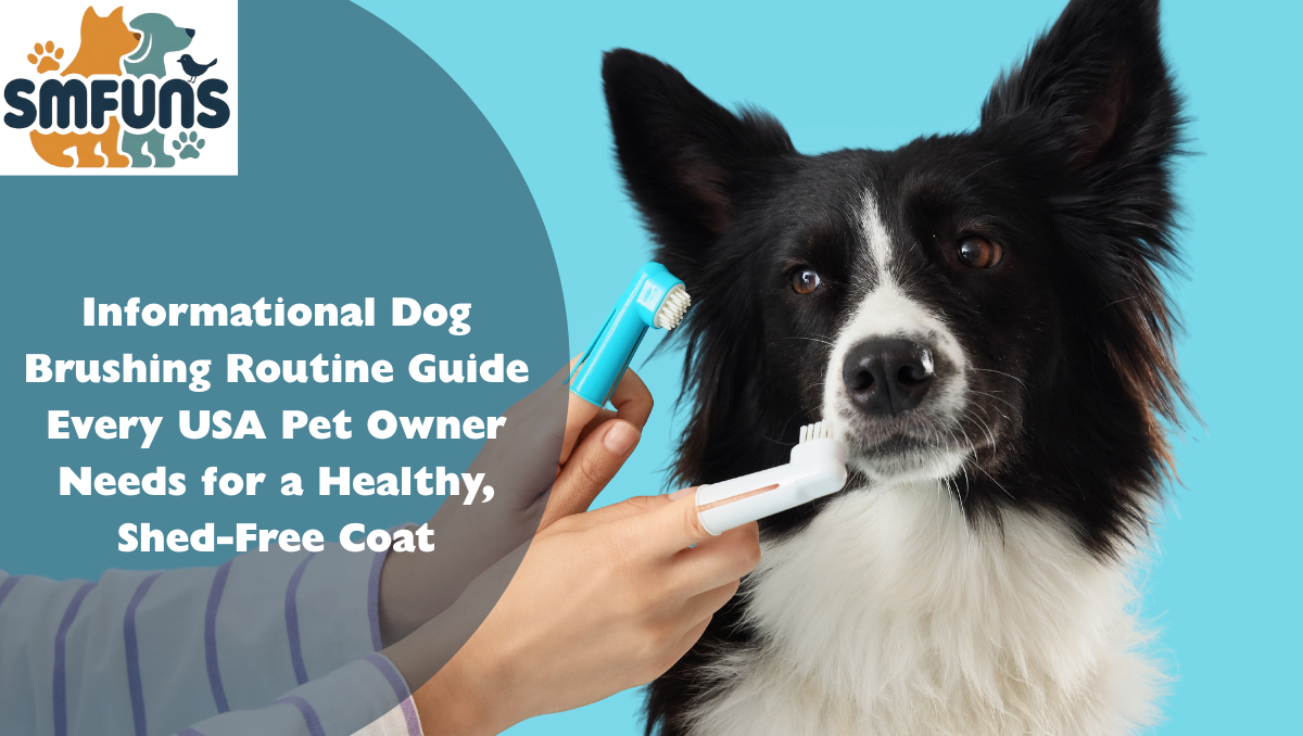 informational dog-brushing