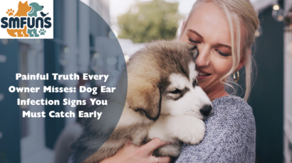 dog ear infection that