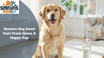 Remove Dog Smell Fast: