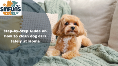 how to clean your dog's ears
