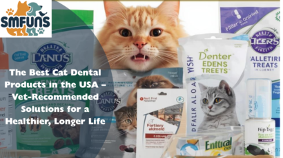 best cat dental products