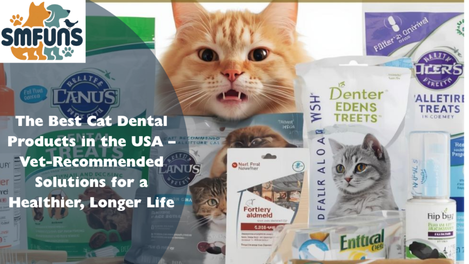 best cat dental products