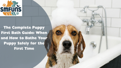 The Complete Puppy First Bath Guide: