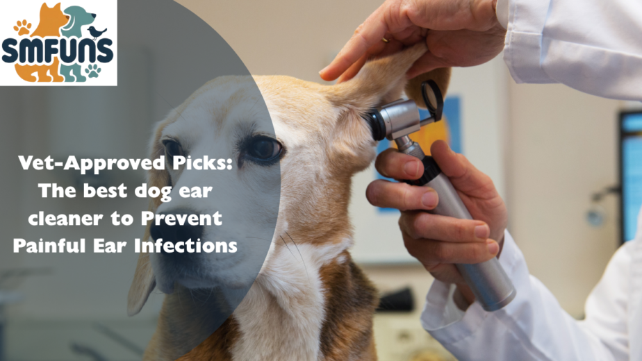 best dog ear cleaner
