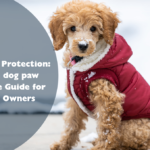 Winter Paw Protection: Complete dog paw winter