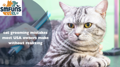 cat grooming mistakes