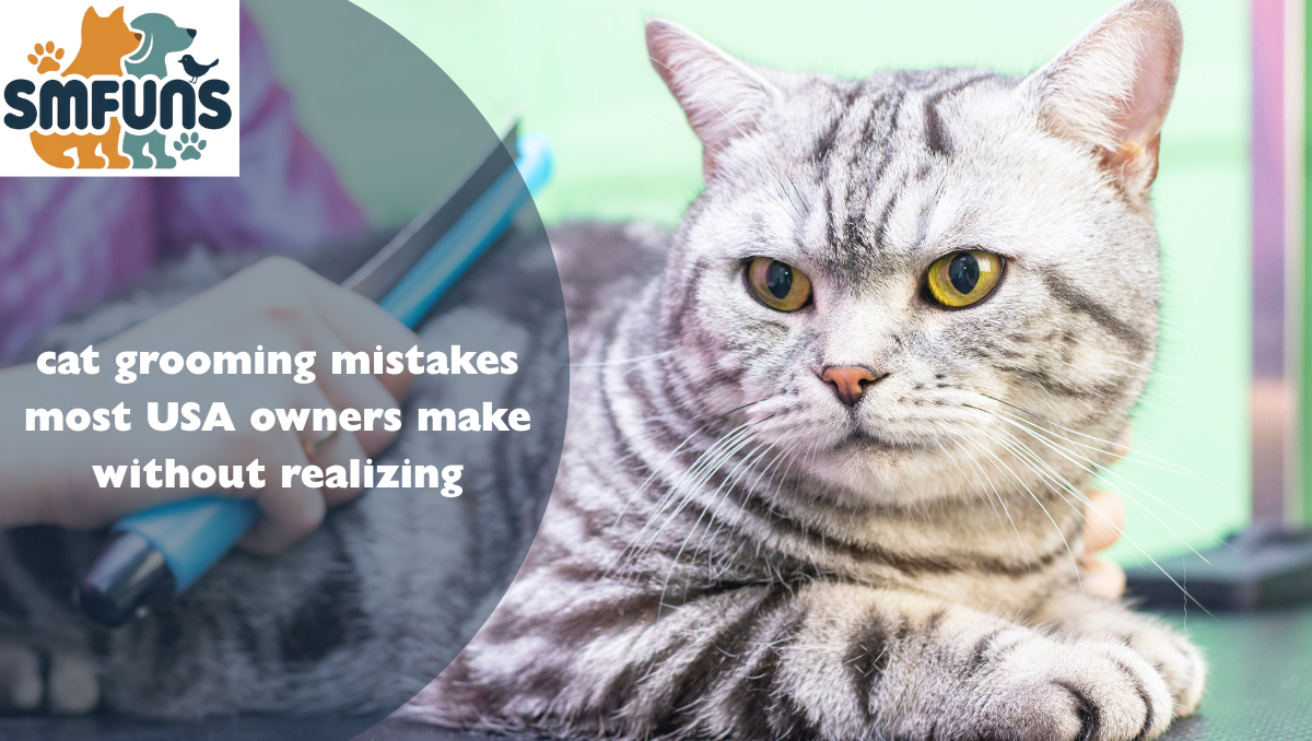 cat grooming mistakes