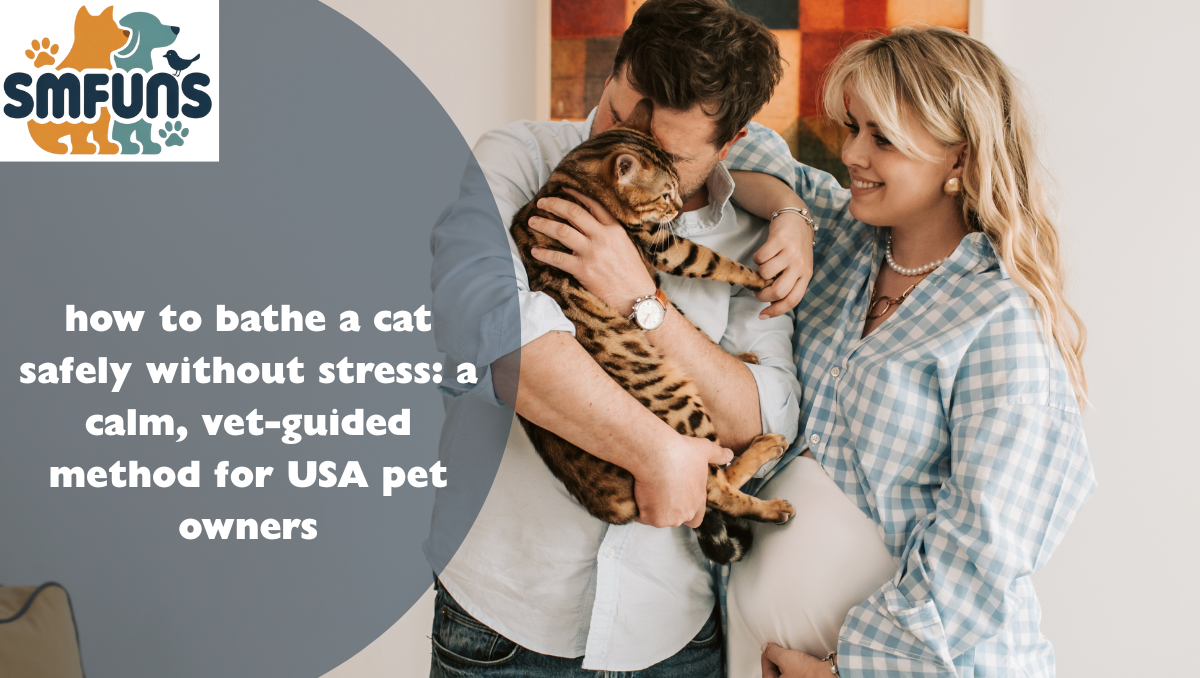 how to bathe a cat safely