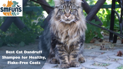 Best Cat Dandruff Shampoo for Healthy, Flake-Free Coats