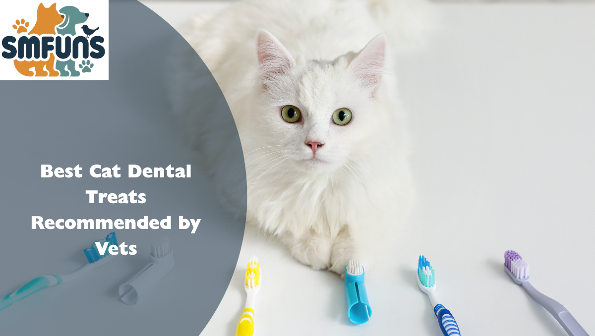 Best Cat Dental Treats