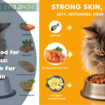 Best Cat Food for Hair Loss: Strengthen Fur and Skin