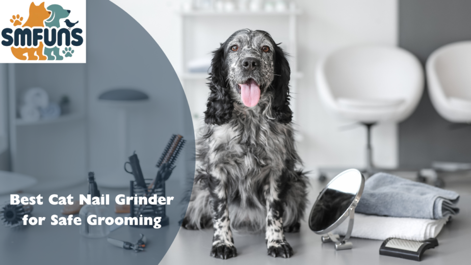 best cat nail grinder f