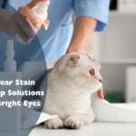 Best Cat Tear Stain Remover: Top Solutions for Clean, Bright Eyes