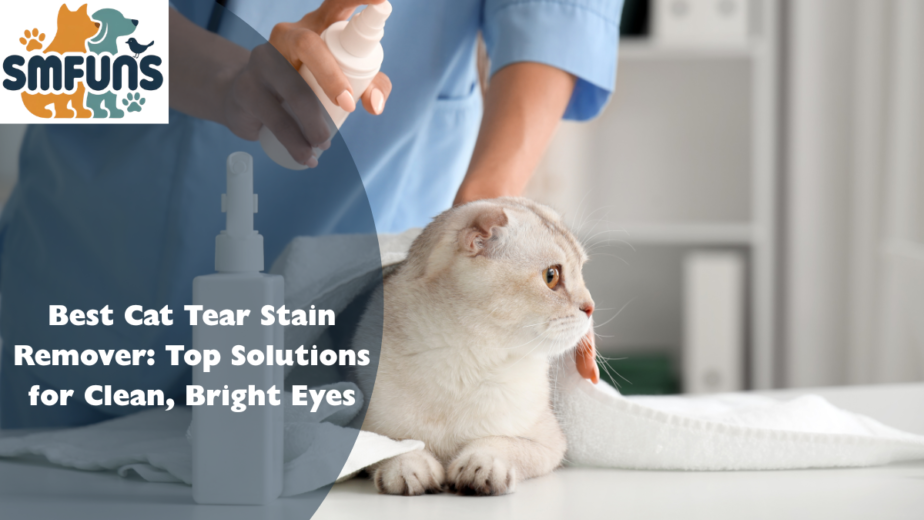 Best Cat Tear Stain Remover